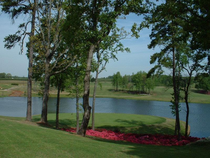 Best Western Canton Inn Удобства фото
